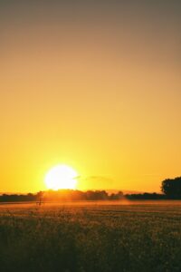 Colère agricole : quand l&rsquo;infox s&rsquo;invite dans les champs